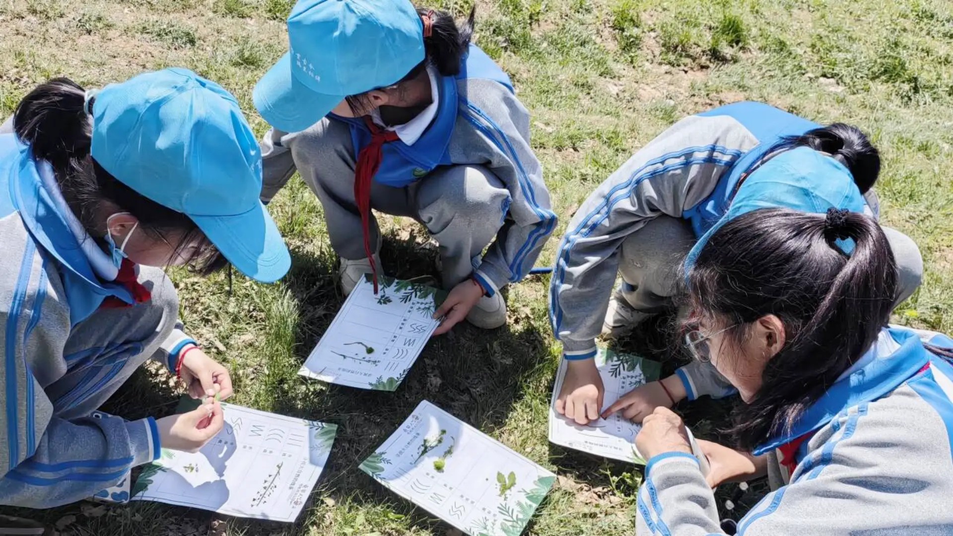 1767747891820587.jpg 6feb53dedb8940b2841166fd53bb869e.jpg