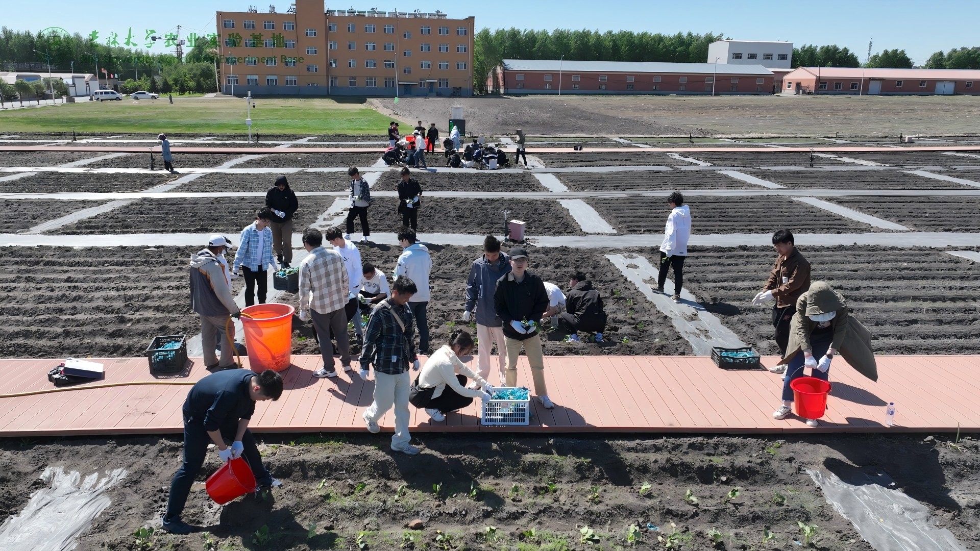 1767747912535705.jpg 8AE32D07B886AFECC2E214AC2E4_D58BF6BE_1115E0.jpg