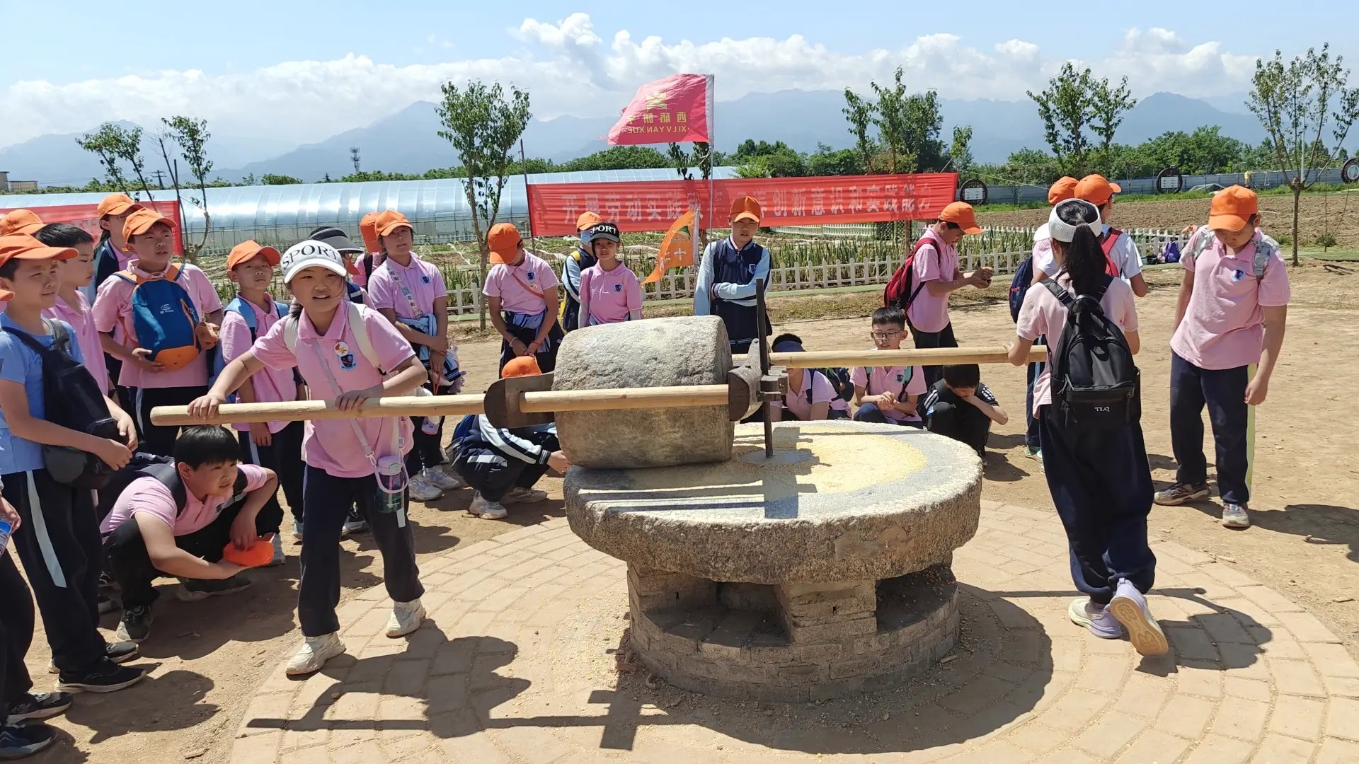 1767747939246826.jpg b9901d84bfdc4ebca8de1a8a77f37140.jpg