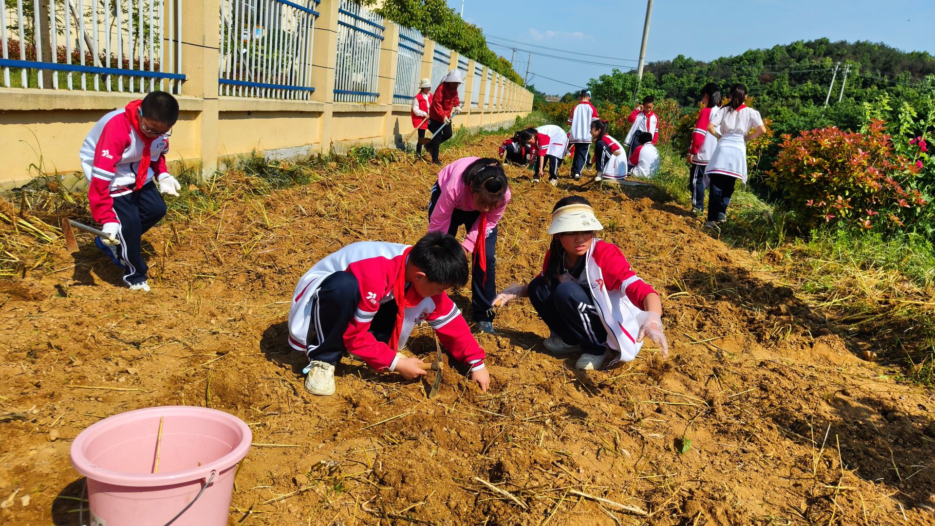 1768267031742156.jpg 0fe162e8-5617-486b-979f-9253bc896692.jpg