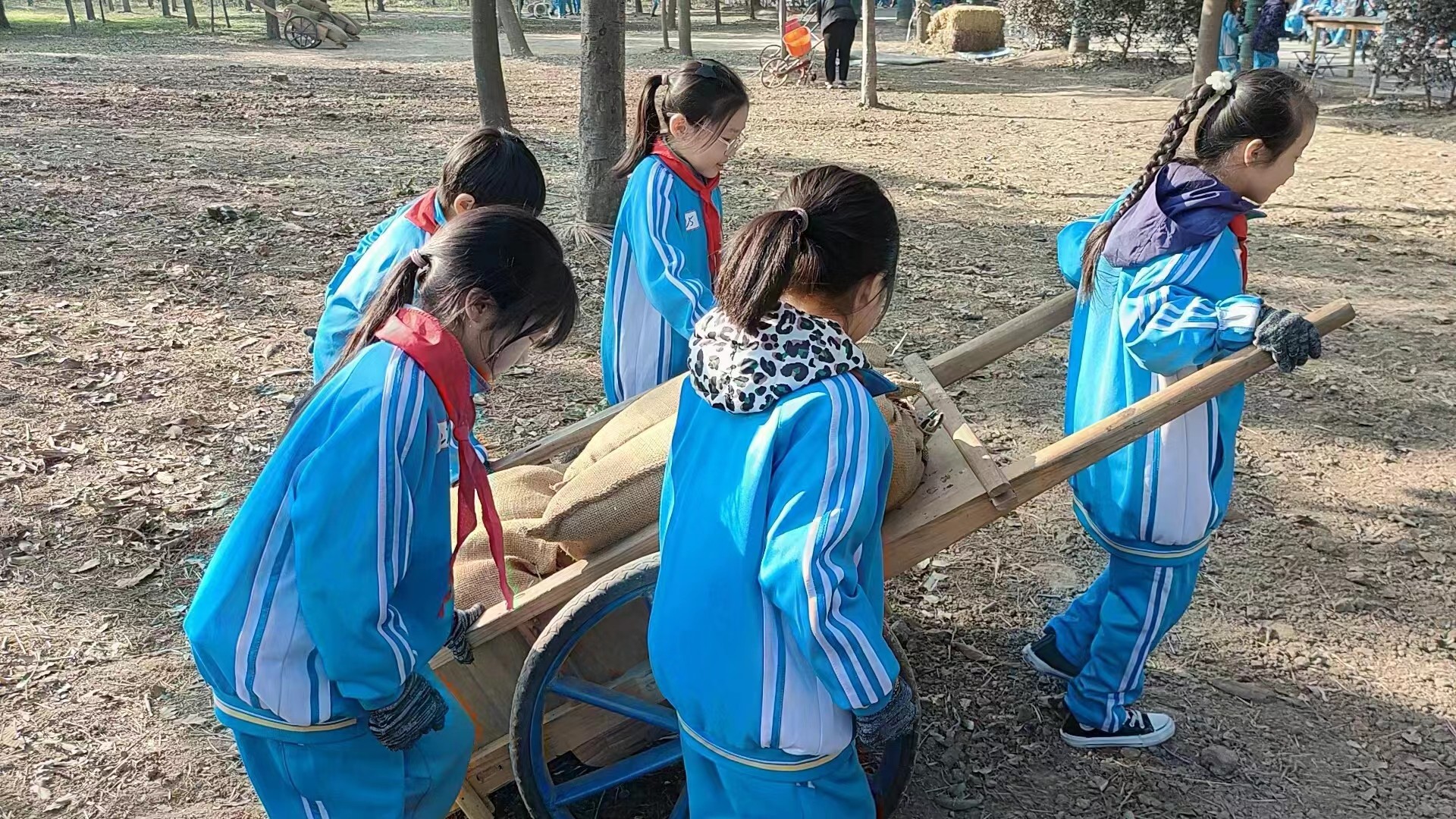 1768525899156433.jpg 4548da429ab51d3876bbd2f3a5a53a17.jpg