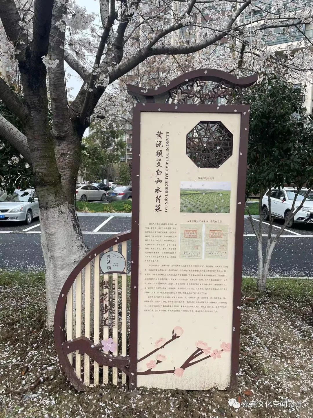 1691731959815981.jpg 640 (35).jpg